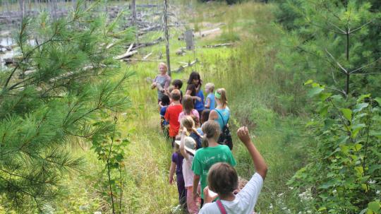 Children on a guided hike in the woods