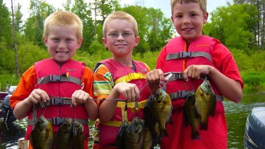 Three young boys with a stringer of bluegills