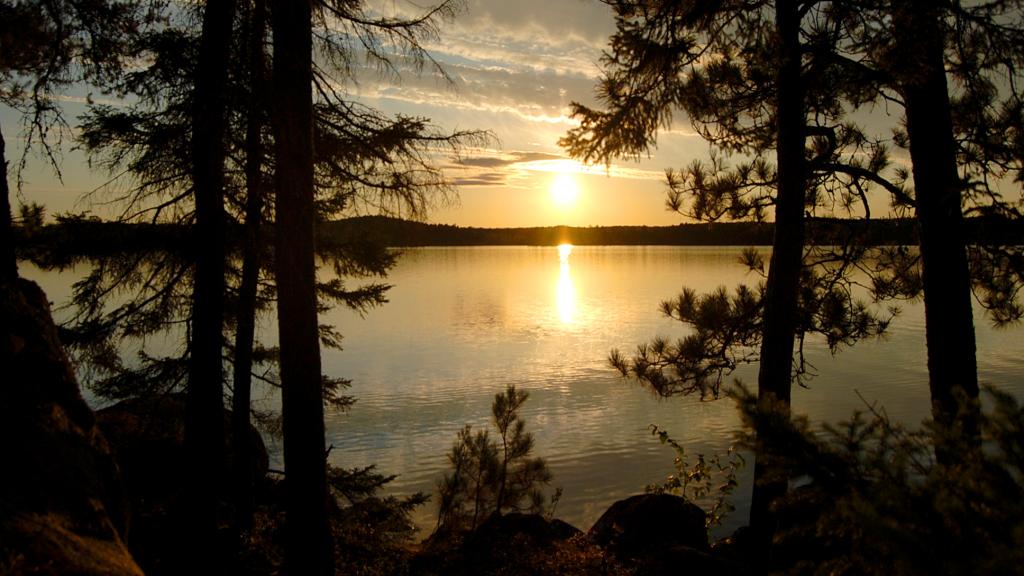 Lake Vermilion and pine trees at sunset.