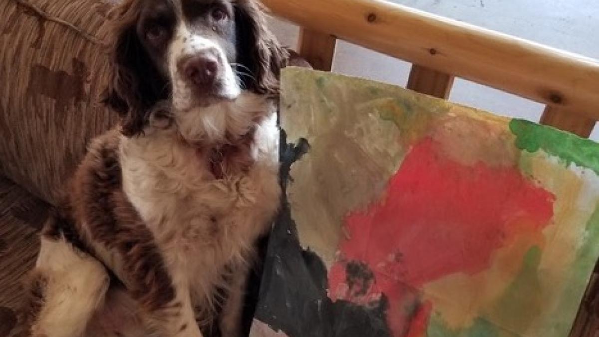 Odie with the painting from his friend, Samatha