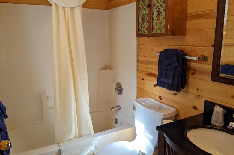 Master bathroom with a standard tub/shower.